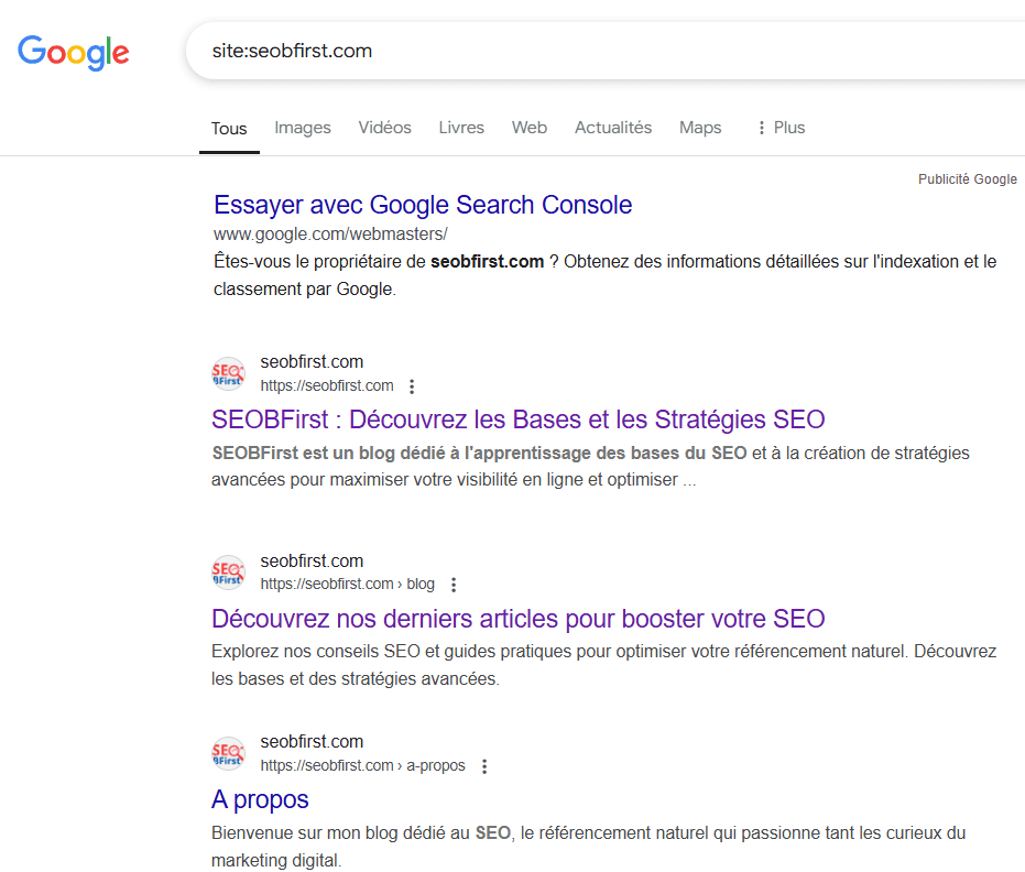 vérification de l'indexation par le moteur de recherche Google